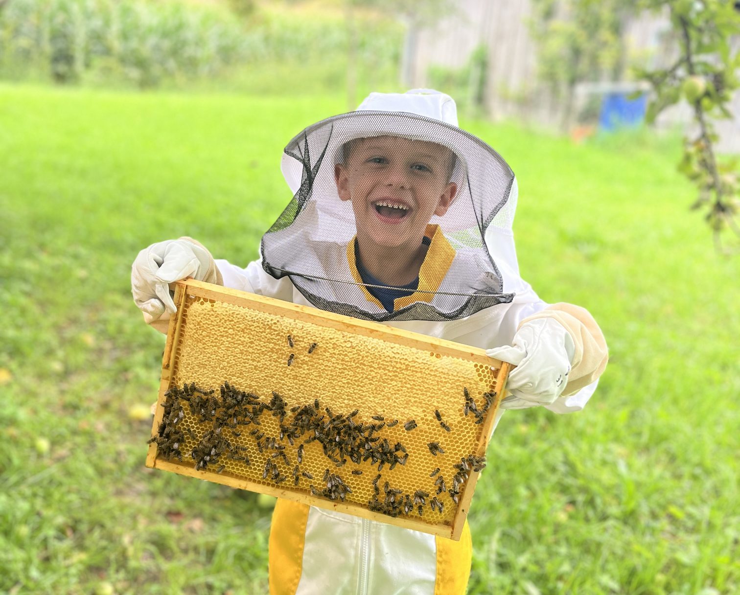 Jung-Imker mit Bienen