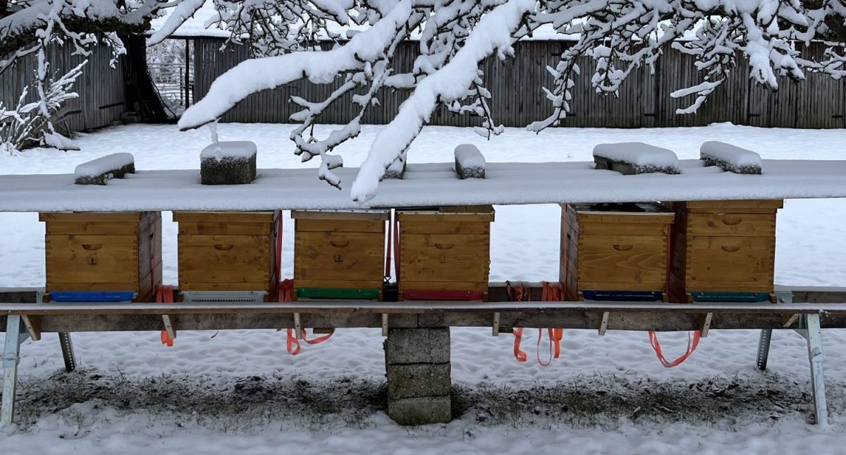 Bienenstöcke im Winter